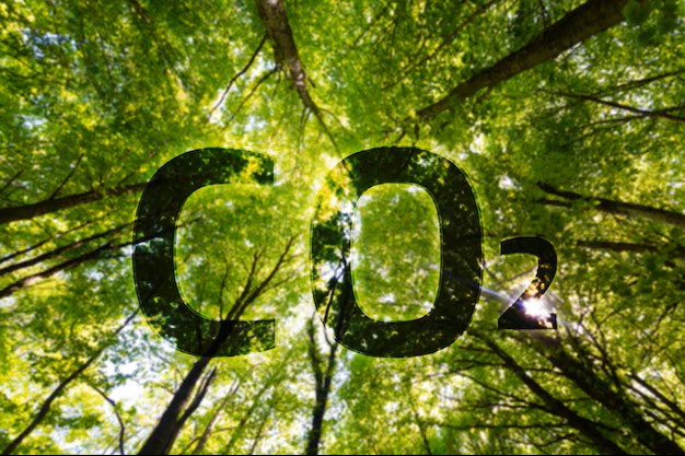 Consum CO2
